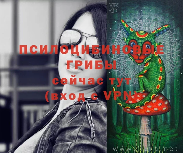 стафф Алзамай
