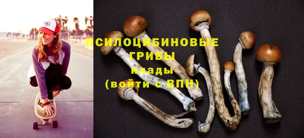 каннабис Алексеевка