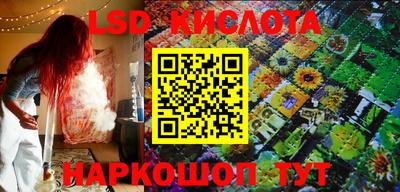 ALPHA PVP Бердск