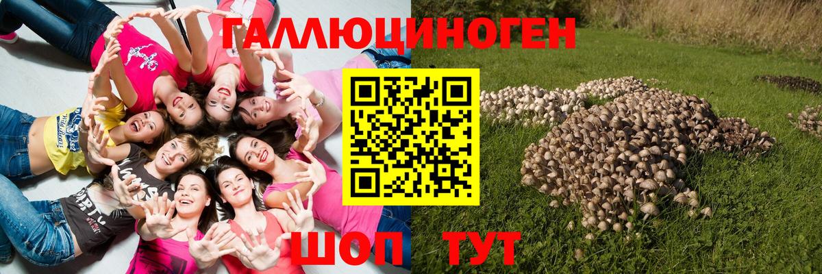 Галлюциногенные грибы Psilocybe  Псилоцибиновые грибы Magic Shrooms  Вход с VPN  Жуковский 